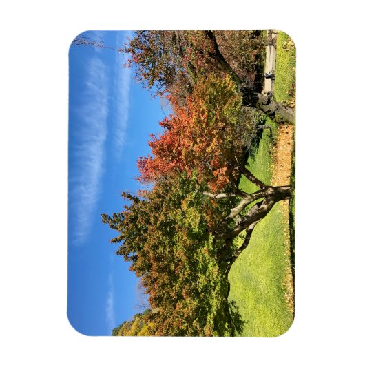 De gekleurde Maple-structuur in het najaar Magneet (Verticaal)