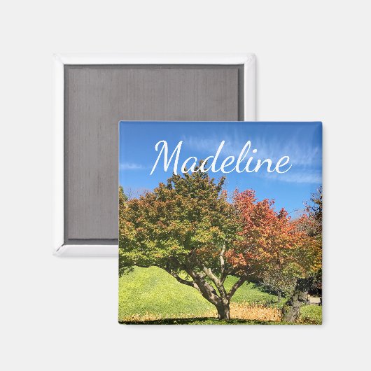 De gekleurde Maple-structuur in het najaar Magneet (Voorkant / Achterkant)