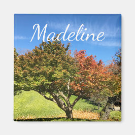 De gekleurde Maple-structuur in het najaar Magneet