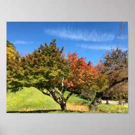 De gekleurde Maple-structuur in het najaar Poster