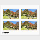 De gekleurde Maple-structuur in het najaar Rechthoekige Sticker (Vel)