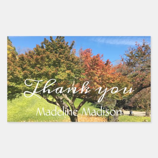 De gekleurde Maple-structuur in het najaar Rechthoekige Sticker (Voorkant)