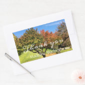 De gekleurde Maple-structuur in het najaar Rechthoekige Sticker (Envelop)