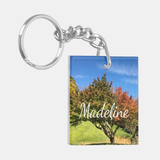 De gekleurde Maple-structuur in het najaar Sleutelhanger (Voorkant Links)