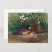 De gekleurde spur-Fowl van Joseph Wolf Briefkaart (Voorkant / Achterkant)