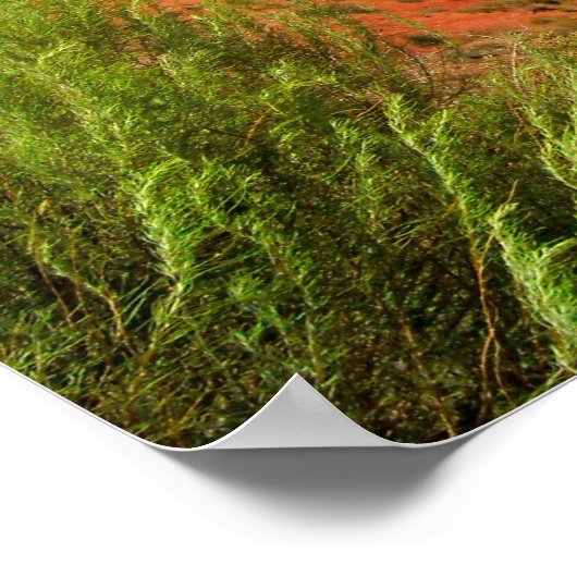 De gekleurde woestijn poster (Hoek)