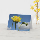 De gele bloem van de Dahlia in de zon Kaart (Gele Bloem)