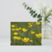 De gele Bloemen van de Boterbloem Briefkaart (Staand voorkant)