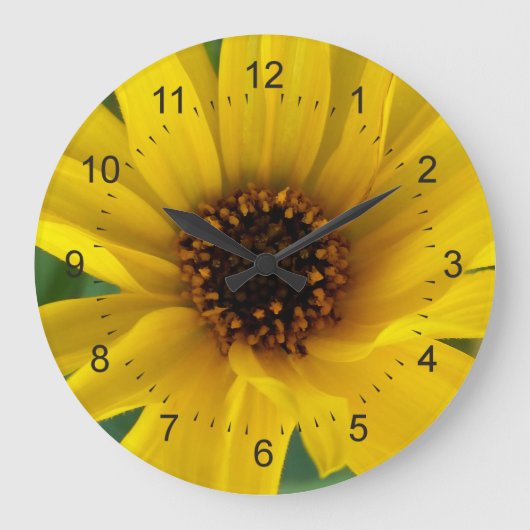 de gele bloemen van het najaar grote klok (Voorkant)