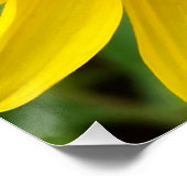 de gele bloemen van het najaar poster (Hoek)
