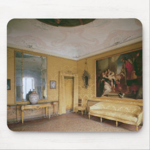 De Gele Drawing Room, Ca' Rezzonico Muismat