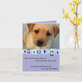 De gele Groeten van de Verjaardag van het Puppy Kaart (Gele Bloem)