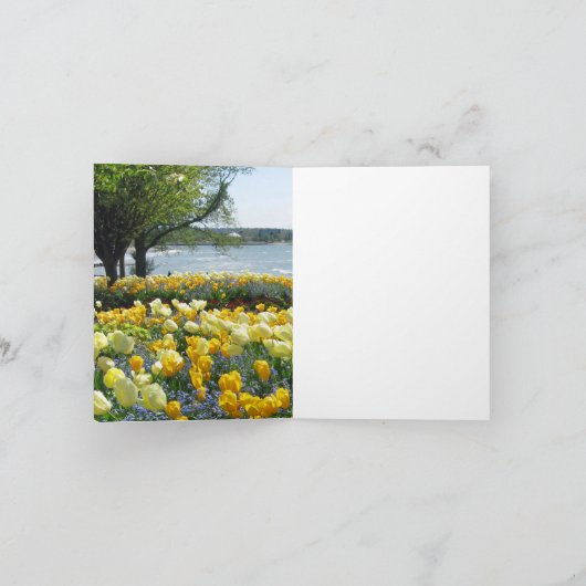 De gele Kaart van de Nota van Tulpen & van (Binnen)