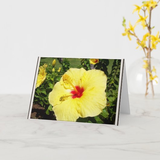 De gele Kaart van de Sympathie van de Bloem (Gele Bloem)