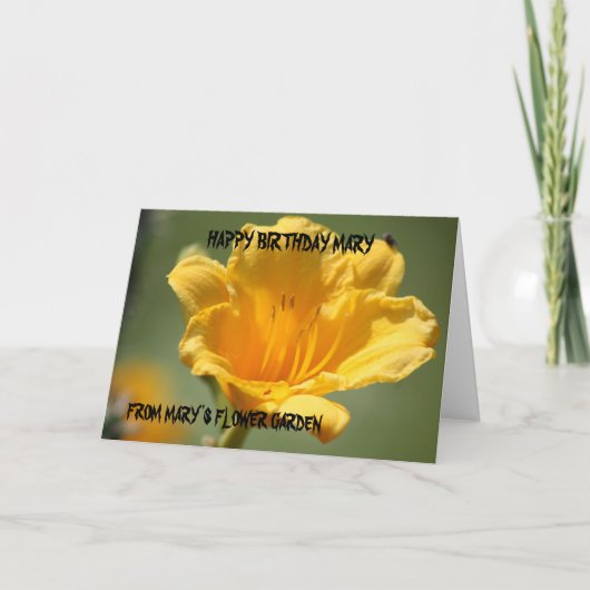 De gele Kaart van de Verjaardag Daylily (Voorkant)