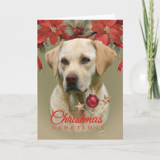 DE GELE KAARTEN VAN DE GROETEN VAN KERSTMIS VAN (Voorkant)