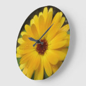 De gele Klok van de Muur van de Goudsbloem Macro (Hoek)