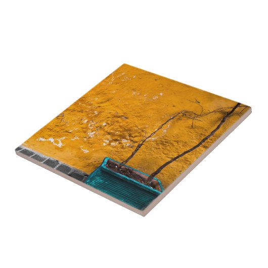 De gele muur tegeltje (Zijkant)