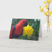 De Gele narcis van Eclectus -- Large Kaart (Gele Bloem)