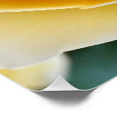 De Gele Roos Perfect Poster (Hoek)