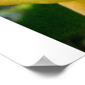 De Gele Roos Poster (Hoek)