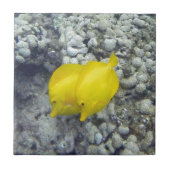 De gele Tang Fish Tegeltje (Voorkant)