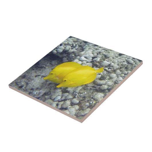 De gele Tang Fish Tegeltje (Zijkant)