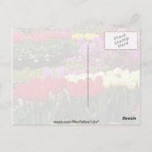 de gele tuinen van Keukenhof, Amsterdam, Nederland Briefkaart (Achterkant)