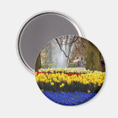 de gele tuinen van Keukenhof, Amsterdam, Nederland Magneet (Voorkant / Achterkant)