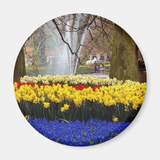 de gele tuinen van Keukenhof, Amsterdam, Nederland Magneet (Voorkant)