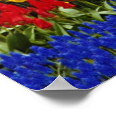 de gele tuinen van Keukenhof, Amsterdam, Nederland Poster (Hoek)