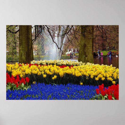 de gele tuinen van Keukenhof, Amsterdam, Nederland Poster (Voorkant)