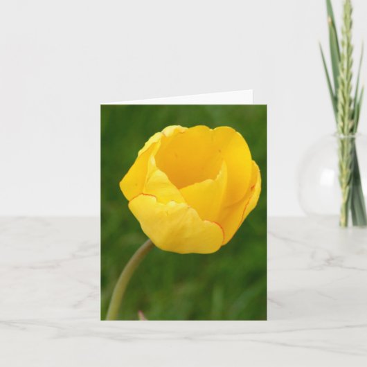 De Gele Tulp van Notecard Kaart (Voorkant)
