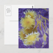 De gele Wilde Bloemen van de Woestijn Briefkaart (Voorkant / Achterkant)