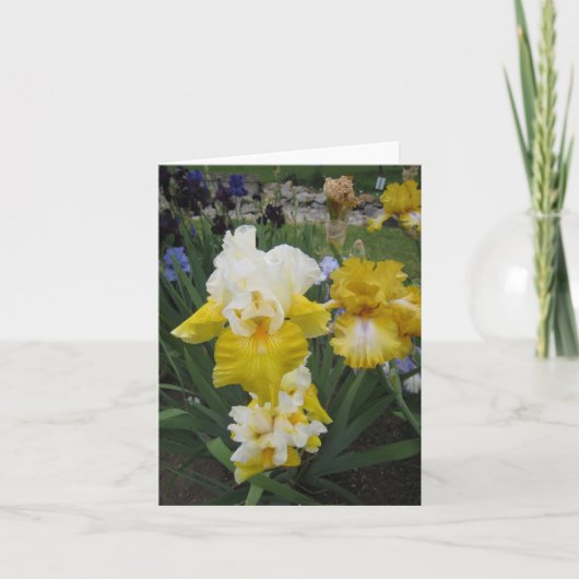 De gele Witte Kaart van de Nota van de Iris Kleine (Voorkant)