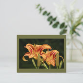 de geledingen van het gebied briefkaart (Staand voorkant)