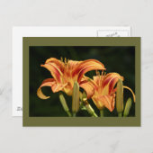 de geledingen van het gebied briefkaart (Voorkant / Achterkant)