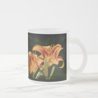 de geledingen van het gebied matglas koffiemok