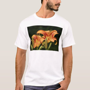 de geledingen van het gebied t-shirt