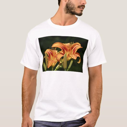 de geledingen van het gebied t-shirt (Voorkant)