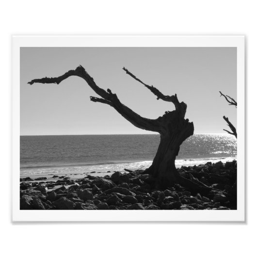 De geleider foto afdruk (Voorkant)