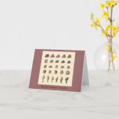 De geliefde zeepokken van Darwin Kaart (Gele Bloem)