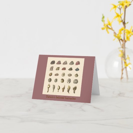 De geliefde zeepokken van Darwin Kaart (Gele Bloem)