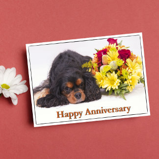 De gelukkige Arrogante Koning Charles Spaniel van Kaart