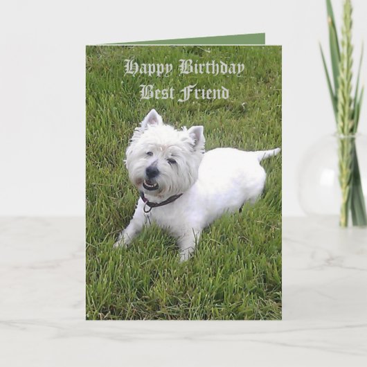 De gelukkige Beste Vriend van de Verjaardag Kaart (Voorkant)