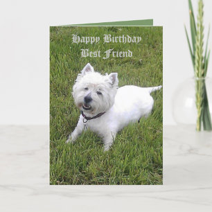 De gelukkige Beste Vriend van de Verjaardag Kaart