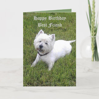 De gelukkige Beste Vriend van de Verjaardag Kaart