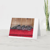 De gelukkige Dag van de Egel! Kaart (Achterkant)