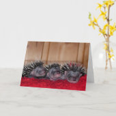 De gelukkige Dag van de Egel! Kaart (Gele Bloem)