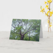 De gelukkige Dag van Vaders Kaart (Gele Bloem)